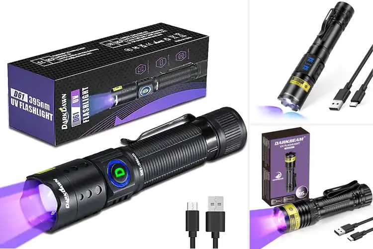 Detailed view of Best 395nm UV Flashlights
