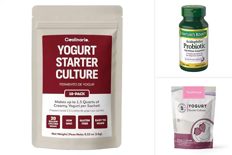 Detailed view of Best Active Cultures: Your Gut Health Heroes