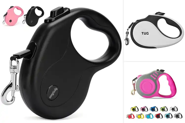 Detailed view of Best Adjustable Dog Leashes