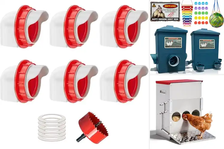 Detailed view of Best Automatic Chicken Feeders