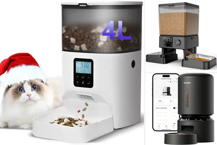 Detailed view of Best Automatic Pet Feeders