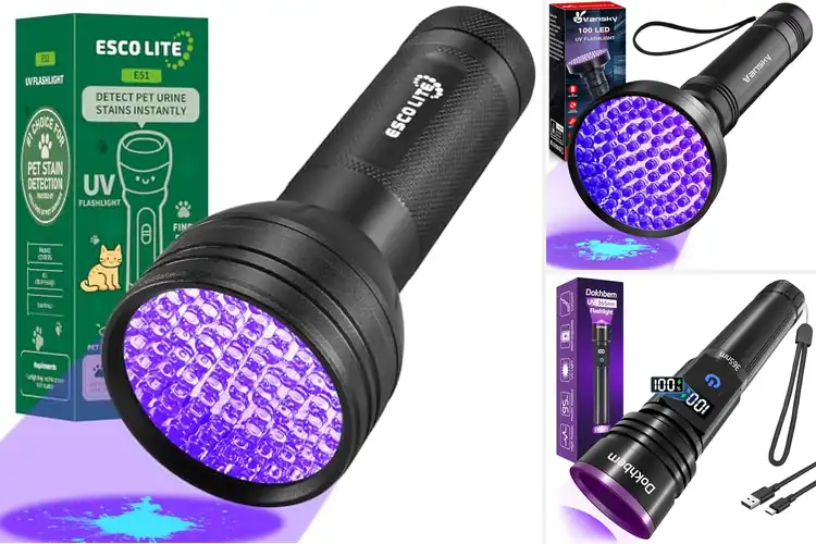 Detailed view of Best Bed Bug Detection Ultraviolet Flashlight