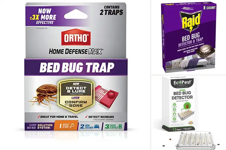 Detailed view of Best Bed Bug Detectors: Top Picks for Home & Travel Safety