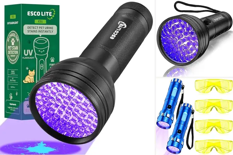 Detailed view of Best Car Stain Detectors