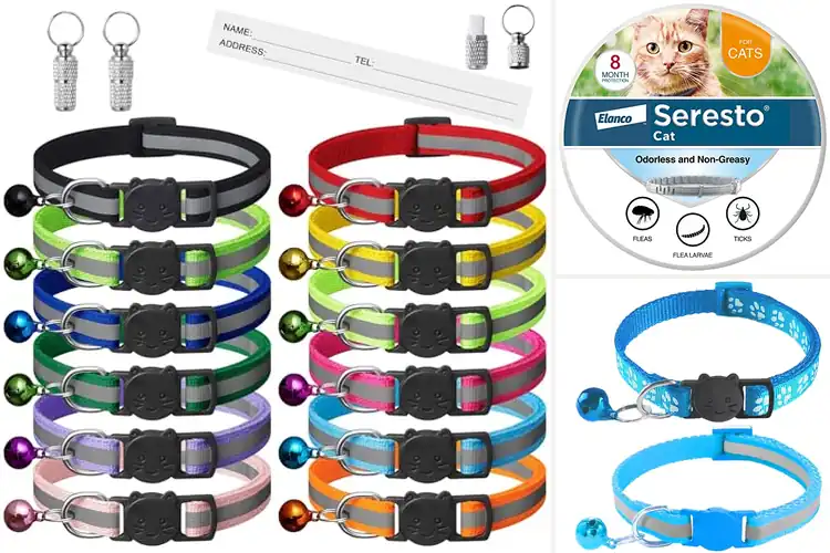 Detailed view of Best Cat Collars: Top Picks for Safety, Style & Comfort