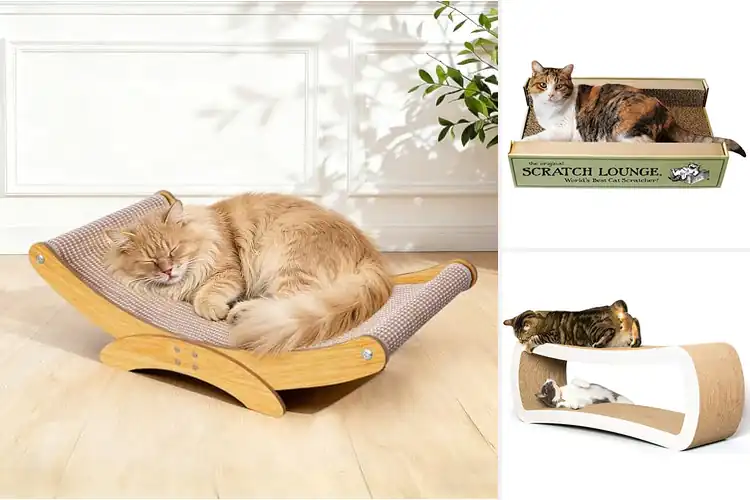 Detailed view of Best Cat Lounges: Top 10 Cozy Spots to Keep Your Cat Happy