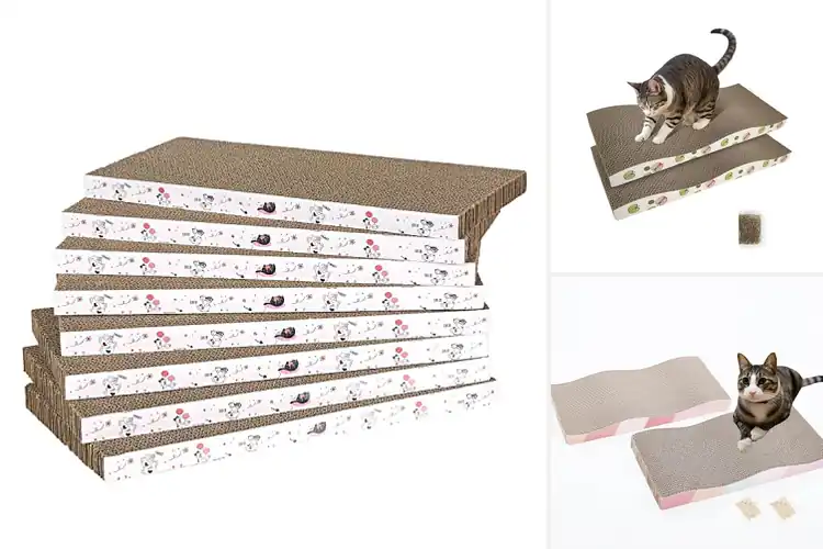Detailed view of Best Cat Scratching Cardboards
