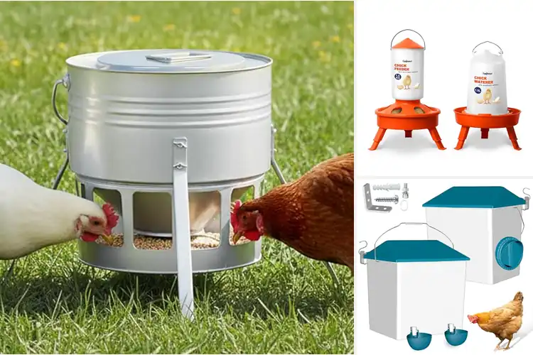 Detailed view of Best Chicken Feeders: Cut Waste, Rust-Proof & Easy Access