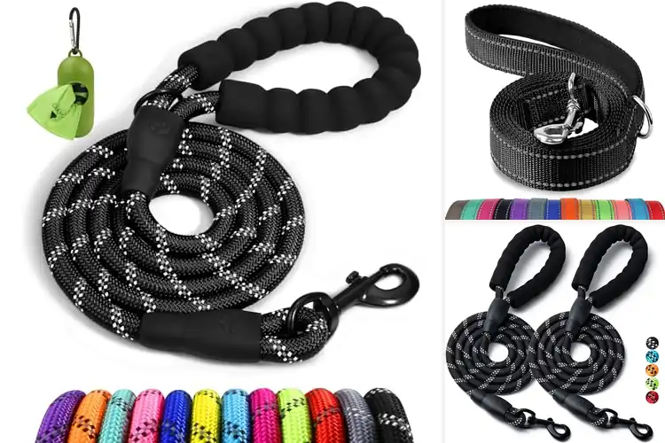 Detailed view of Best Durable Dog Leashes