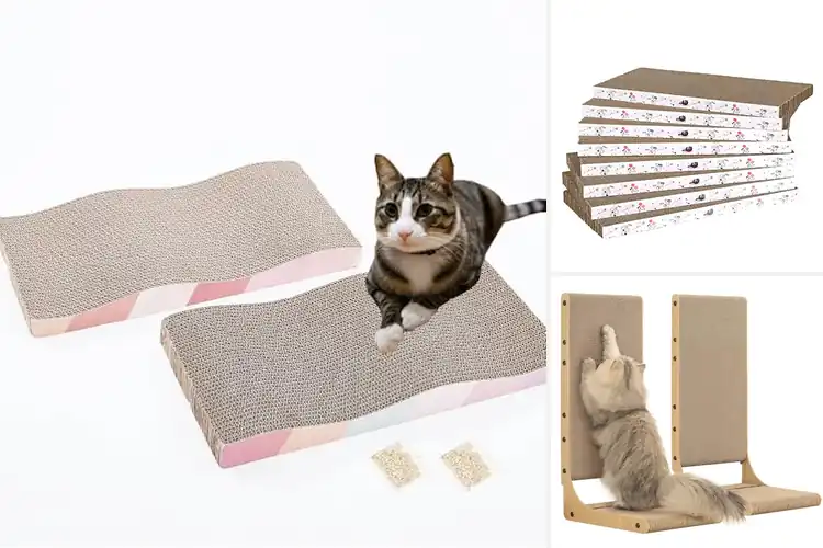 Detailed view of Best Eco-Friendly Cat Scratchers