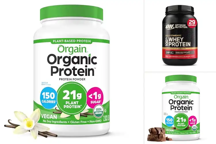 Detailed view of Best Gluten Free Protein Powder