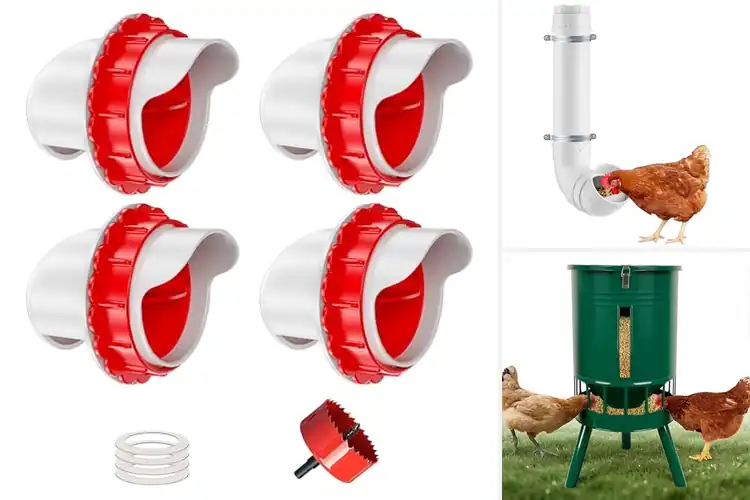 Detailed view of Best Gravity Feed Chicken Feeders