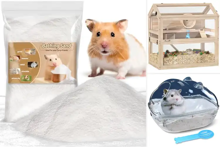 Detailed view of Best Hamster Accessories