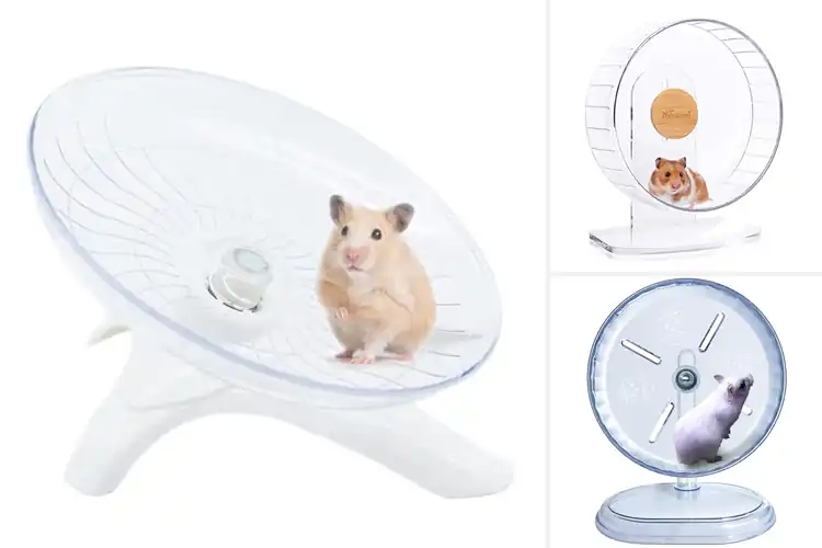 Detailed view of Best Hamster Wheels