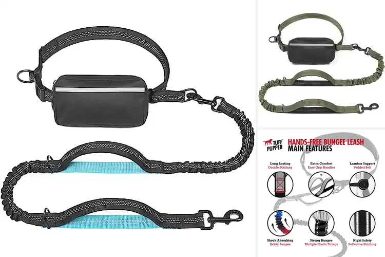 Detailed view of Best Hands Free Dog Leashes: Walk, Jog, and Run with Ease