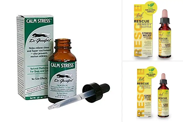 Detailed view of Best Homeopathic Stress Formula