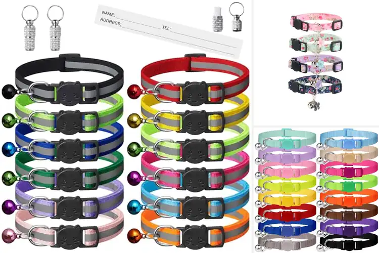 Detailed view of Best Kitten Collars: Top Picks for Safe, Stylish Comfort