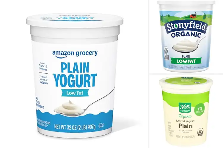 Detailed view of Best Low Fat Yogurts: 10 Creamy, Healthy Picks for You