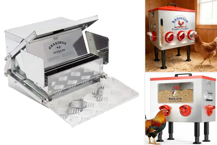 Detailed view of Best Mouse Proof Chicken Feeders