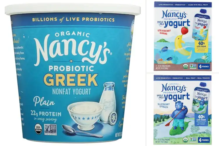 Detailed view of Best Nancys Yogurts: 7 Healthy & Delicious Picks for You