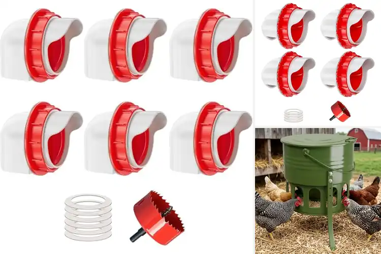 Detailed view of Best No Waste Chicken Feeders