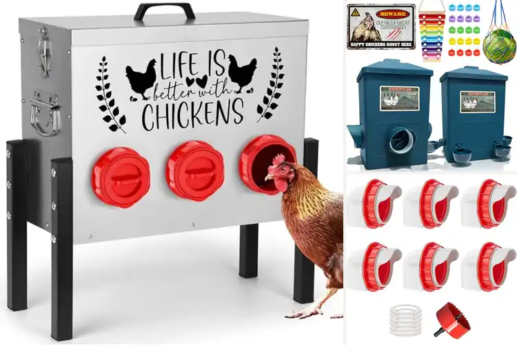Detailed view of Best Outdoor Chicken Feeders
