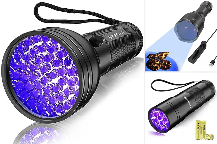 Detailed view of Best Pet Stain Detecting UV Light