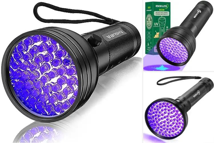 Detailed view of Best Pet Stain Detectors
