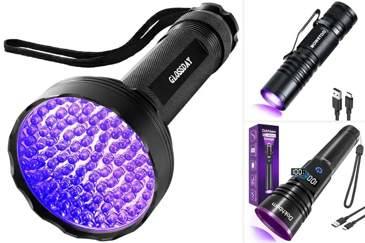 Detailed view of Best Scorpion Detection Lights
