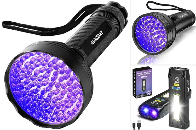 Detailed view of Best Scorpion Detectors