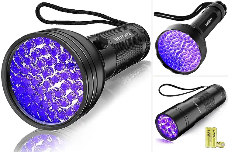 Detailed view of Best Scorpion Finders: Spot Hidden Scorpions Easily & Safely