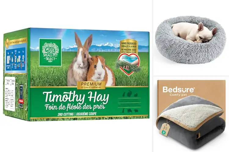 Detailed view of Best Small Pets