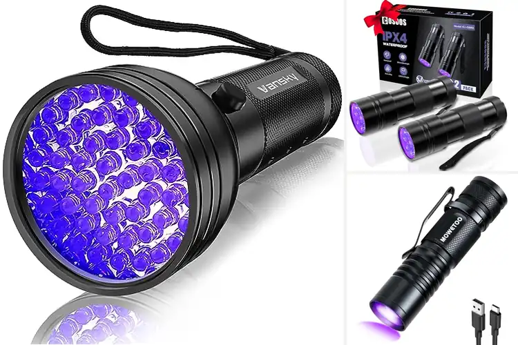 Detailed view of Best Ultraviolet Flashlights