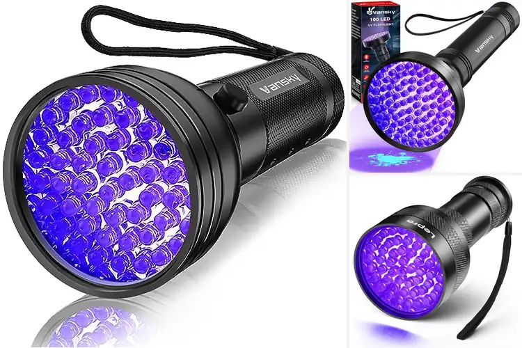 Detailed view of Best UV Bed Bug Detectors