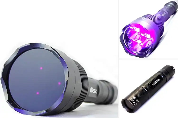 Detailed view of Best UV Flashlight For Outdoor Scorpion Search