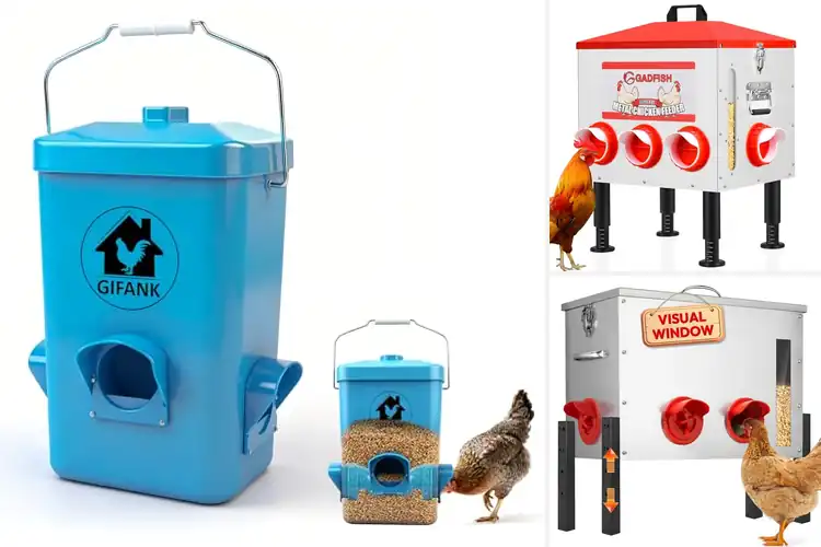 Detailed view of Best Waterproof Chicken Feeders