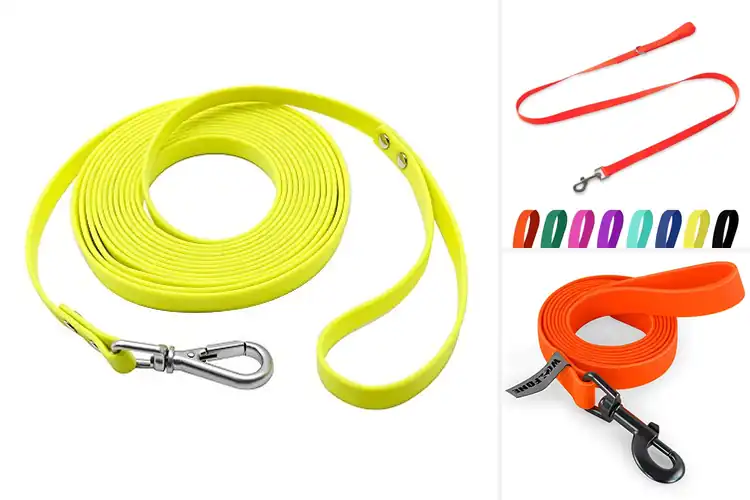 Detailed view of Best Waterproof Dog Leashes: Durable, Easy-Clean Outdoor Fun