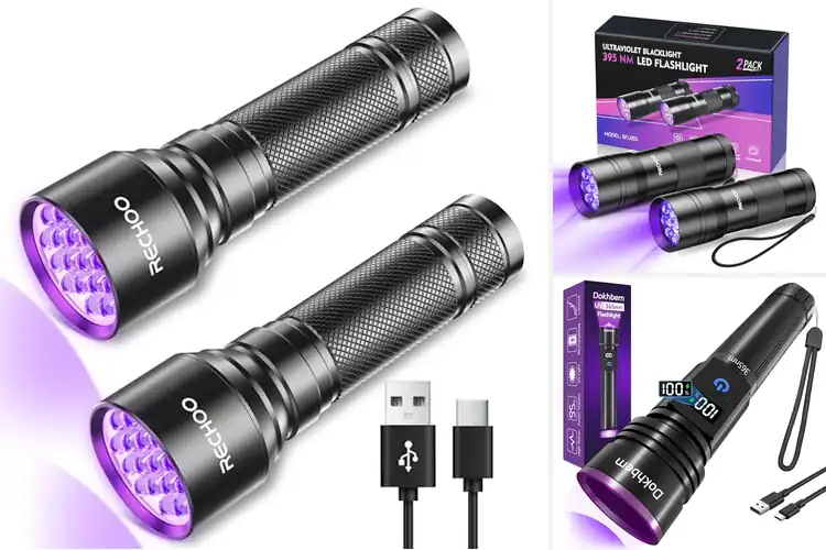 Detailed view of Best Waterproof UV Flashlights