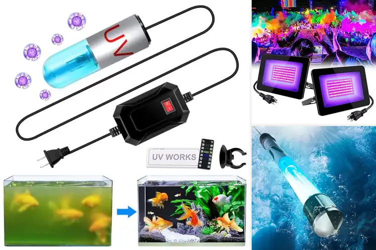 Detailed view of Best Waterproof UV Lights