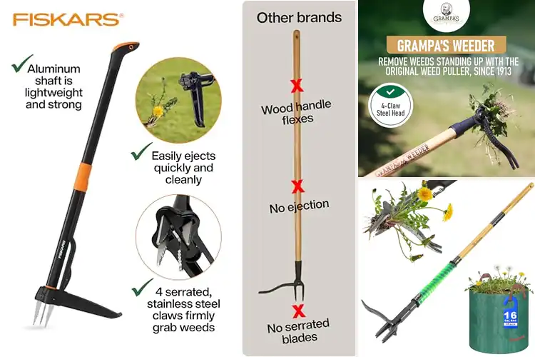 Detailed view of Best Weed Pullers: Top Tools for Fast, Easy Weed Removal