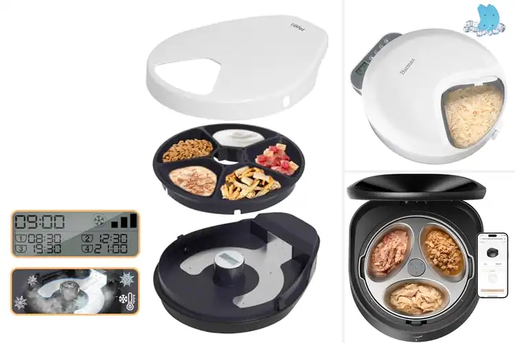 Detailed view of Best Wet Food Coolers: Top 10 Picks for Fresh Cat Meals